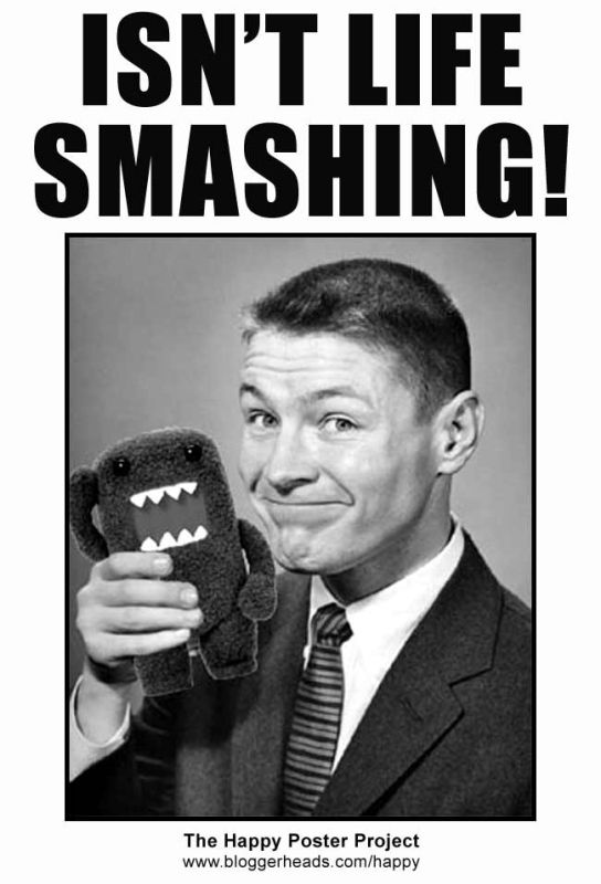 no es una sensacional vida.jpg